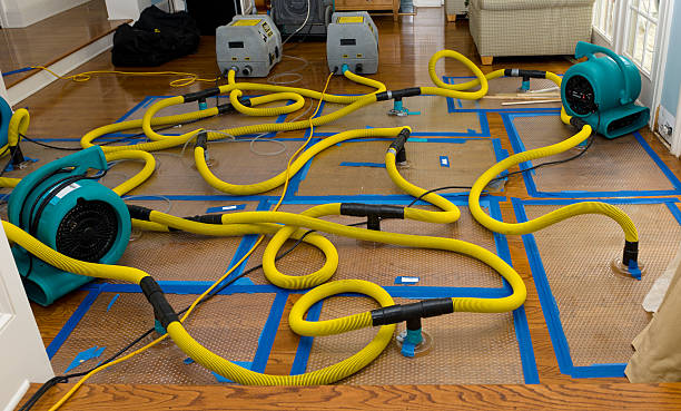Professional Water Damage Repair technician working in Edgewood, IN